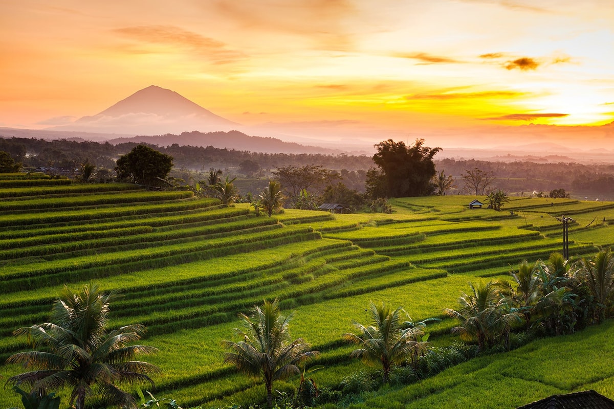 Desa Jatiluwih terkenal sebagai tempat wisata dengan keindahan sawah terasering yang masih menggunakan sistem pengairan sawah tradisional Bali, lokasinya terletak dekat dengan pegunungan Batukaru dengan kondisi udara yang lumayan sejuk.
