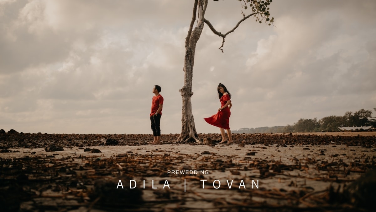 Adila | Tovan