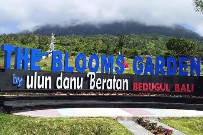 Bloom garden berada di atas tanah seluas lima hektar dengan berbagai tanaman bunga yang cantik dan bermacam-macam spot selfie