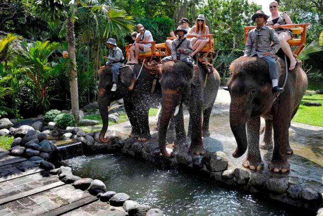 Bali Zoo merupakan konservatori satwa liar yang memiliki koleksi hewan-hewan tropis yang eksotis dari berbagai wilayah Indonesia dan beberap dari wilayah Asia. Hewan-hewan langka seperti mamalia, reptil, dan burung.