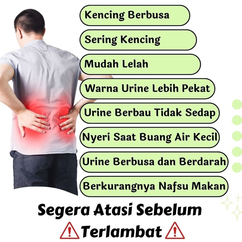 kencing berbusa  cara mengatasi sering buang air kecil air kencing berbusa batu ginjal. obat kencing berbusa