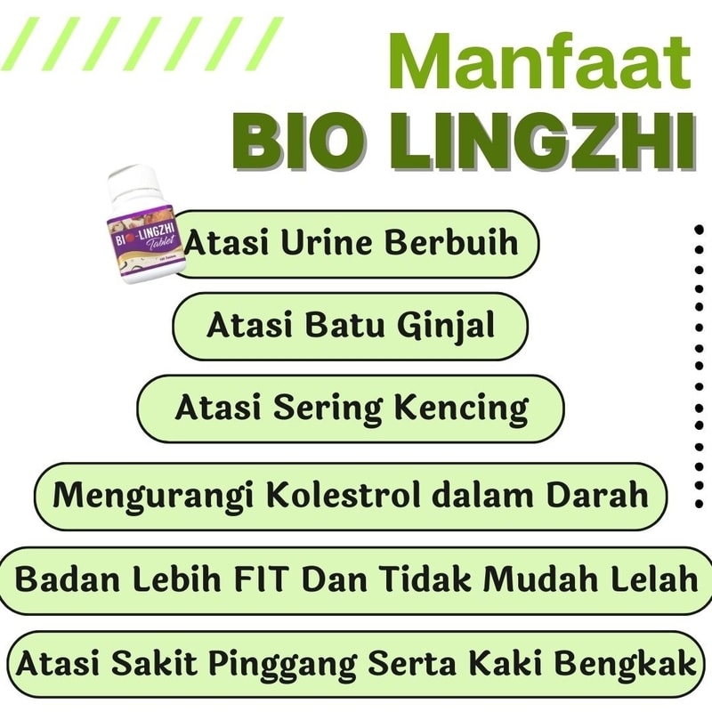 bio lingzhi untuk mengatasi kencing berbusa, obat ginjal, asam urat, sakit pinggang, kaki bengkak