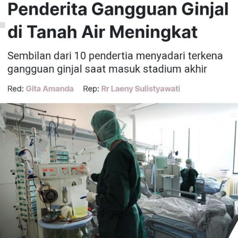 mengobati batu ginjal