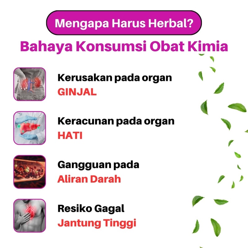 mengobati batu ginjal