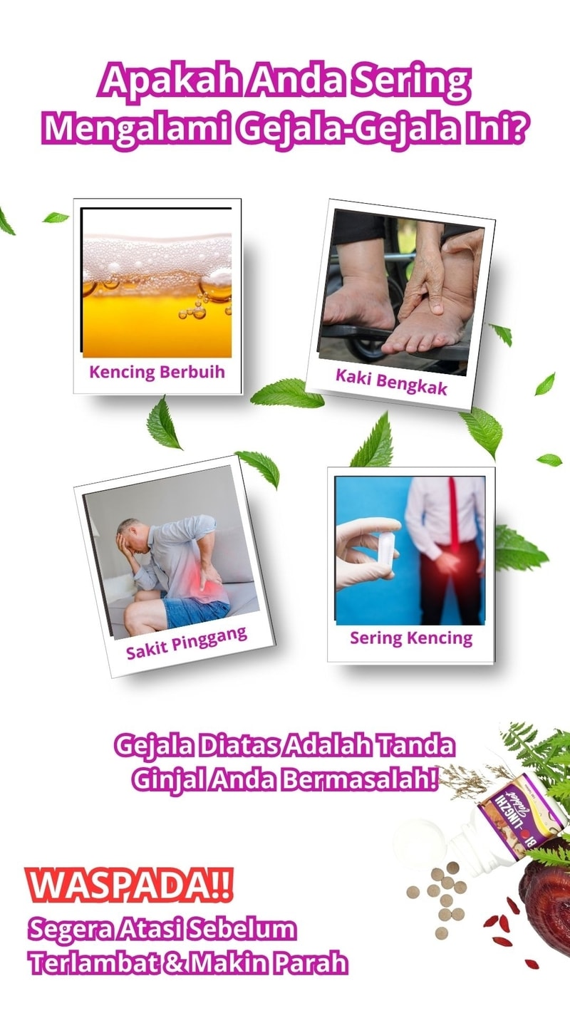 mengobati kencing berbuih, asam urat, kaki bengkak, sakit pinggang, sering kencing