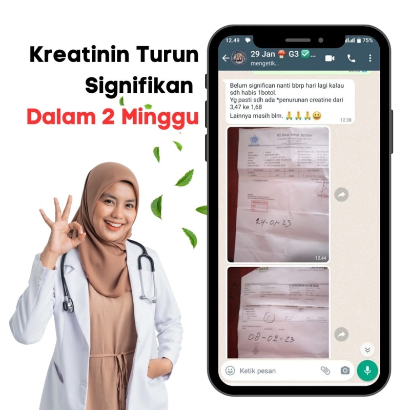 obat ginjal