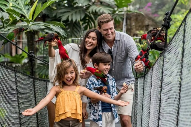 Bali Zoo merupakan konservatori satwa liar yang memiliki koleksi hewan-hewan tropis yang eksotis dari berbagai wilayah Indonesia dan beberap dari wilayah Asia. Hewan-hewan langka seperti mamalia, reptil, dan burung.