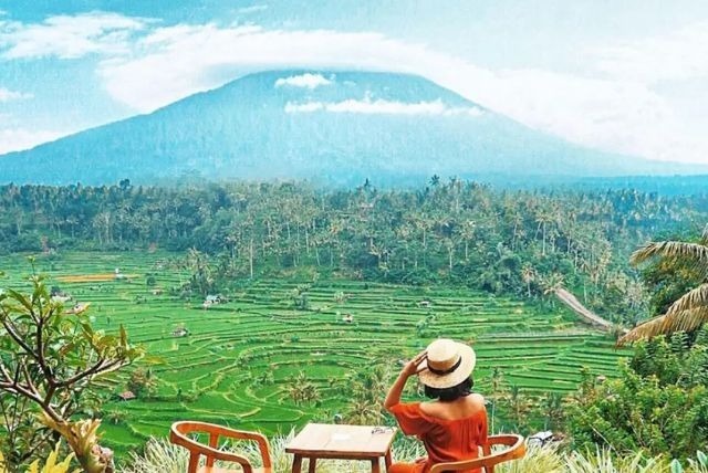 Makan Malam di Bebek Tepi Sawah