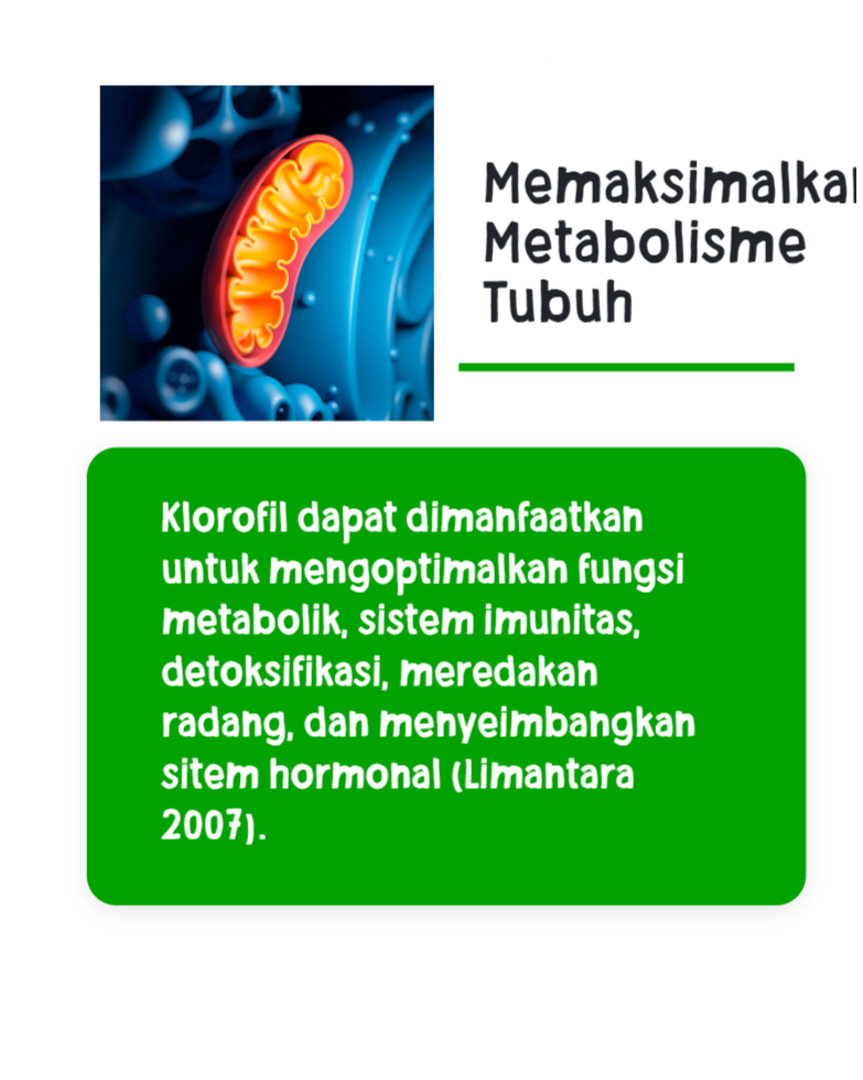 chlorophyll